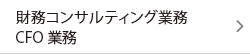 財務コンサルティング業務・CFO業務