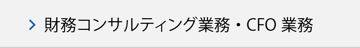 財務コンサルティング業務・CFO業務
